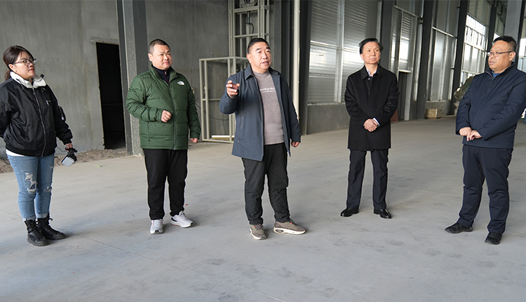 6 6